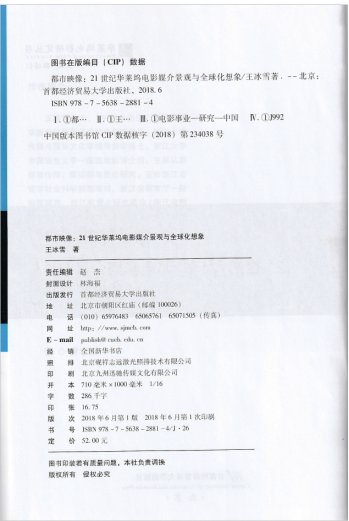 王冰雪首都经济贸易大学出版社2018